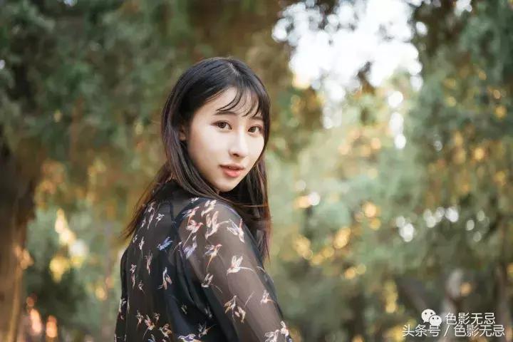 尼康d850强大之处,尼康d850评测最新