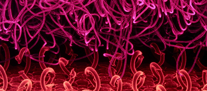 人类的真正有趣的发明,改变人类的100个发明