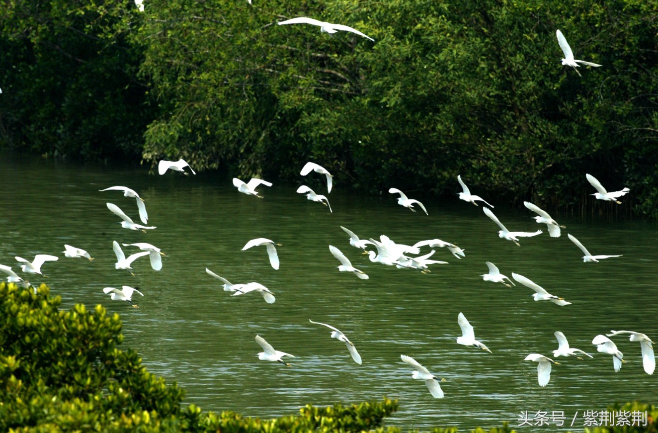 鍒版捣鍗楀矝鐜╃殑鏀荤暐,鍝忓効閮介潚骞存父娴峰崡