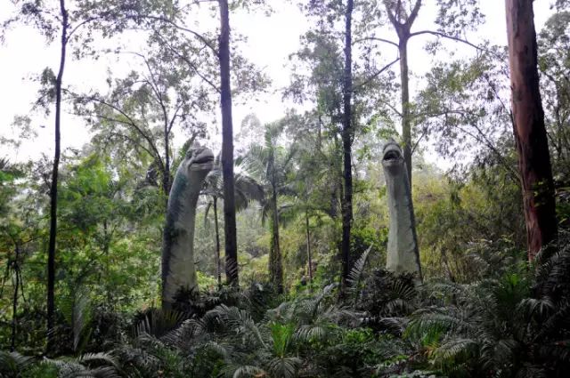 广州长隆野生动物园吃东西攻略,广州长隆野生动物园吃喝攻略