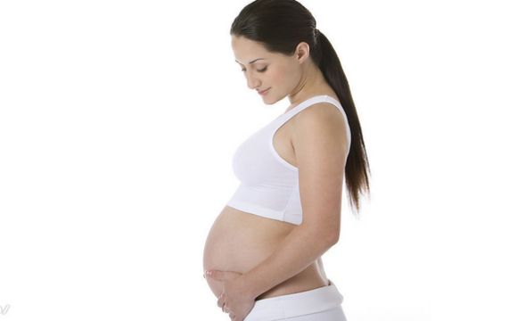 美宝之星孕期怎么吃,美宝之星怎么样