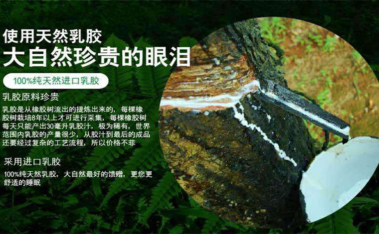 天然乳胶床垫优缺点,乳胶床垫能用多少年