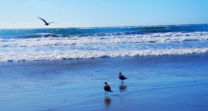 美国东海岸14日旅游攻略,美国西海岸旅游15天攻略