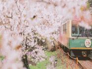 英语口语撩妹,撩妹必备100句土话英语