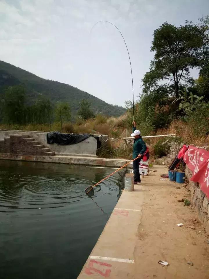 一群老大爷钓鱼,一群大爷岸上钓鱼