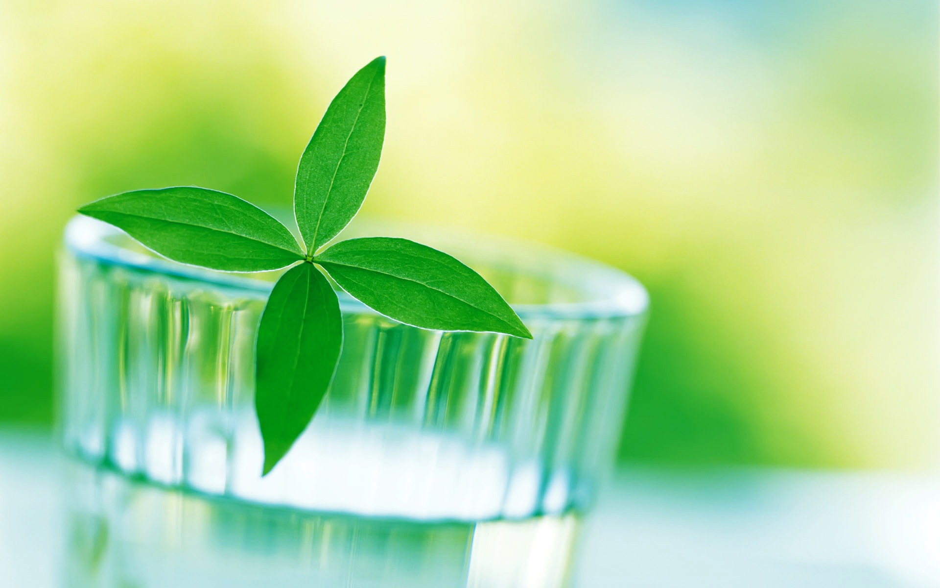 什么是九型人格,什么是九型人格课程