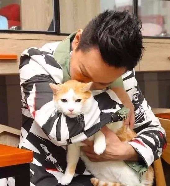 张信哲救猫,张信哲救人歌曲