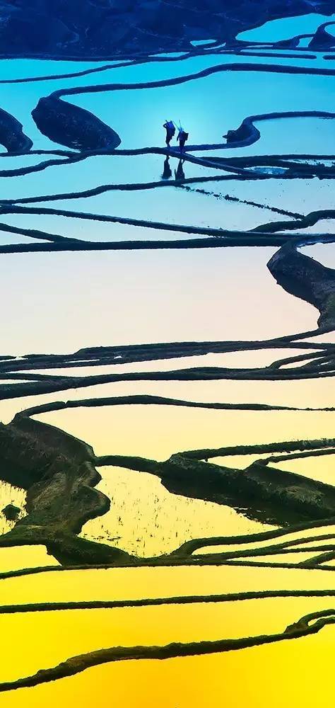 风吹稻浪黄金灿原创,风吹稻田金灿灿原文