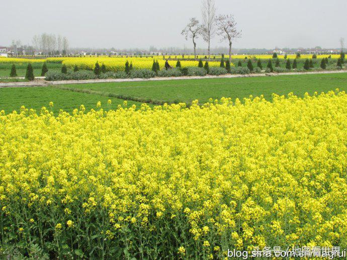 西成高铁沿线旅游,川西北高铁沿线旅游景点