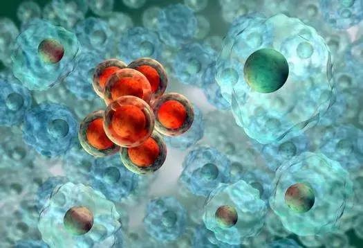 脐带血存还是捐？血液科医生最有话语权！