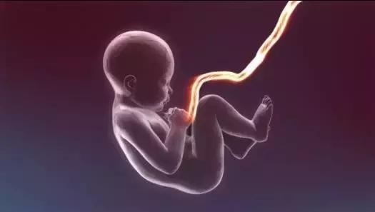 脐带血捐好还是自存好,血液科医生建议存脐带血有必要吗