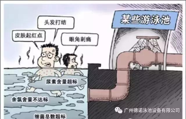 游泳池的水居然可以饮用,传说中的游泳池是什么