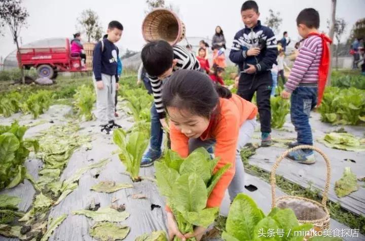 成都周边农场推荐,成都周边最有特色的农场