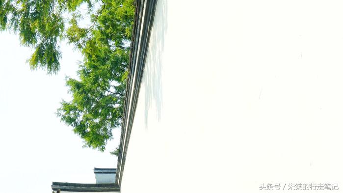 夜游南浔古镇感受江南水乡的美,江南六大古镇最值得一去的是南浔