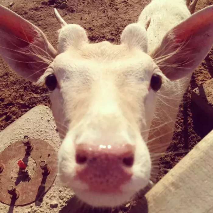 大连性价比较高的温泉,大连温泉哪家好又便宜