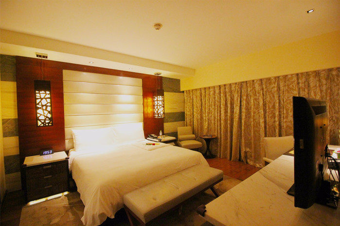 带着寻宝记游遍祖国大好河山,带着挖机去海边度假