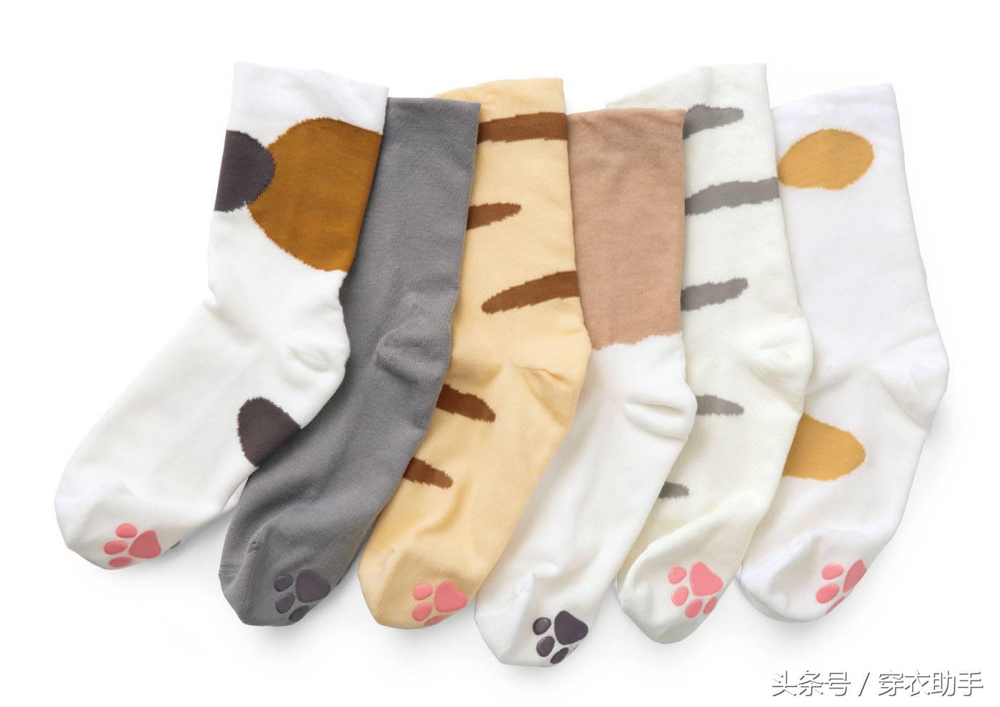 提升猫咪智商的玩具,提高猫咪的生活品质