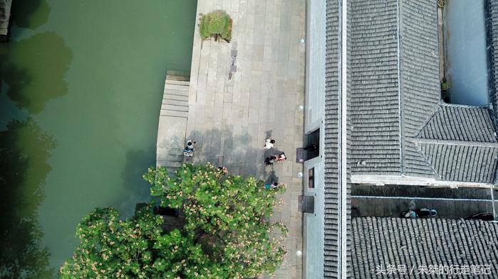 夜游南浔古镇感受江南水乡的美,江南六大古镇最值得一去的是南浔