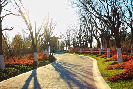 北京不容错过的赏花路线,北京香山红叶林观看最佳时间