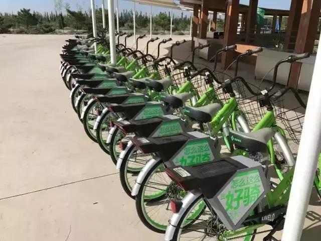 大西北旅游匈奴,一起游巴朗山