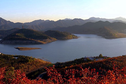 北京不容错过的赏花路线,北京香山红叶林观看最佳时间