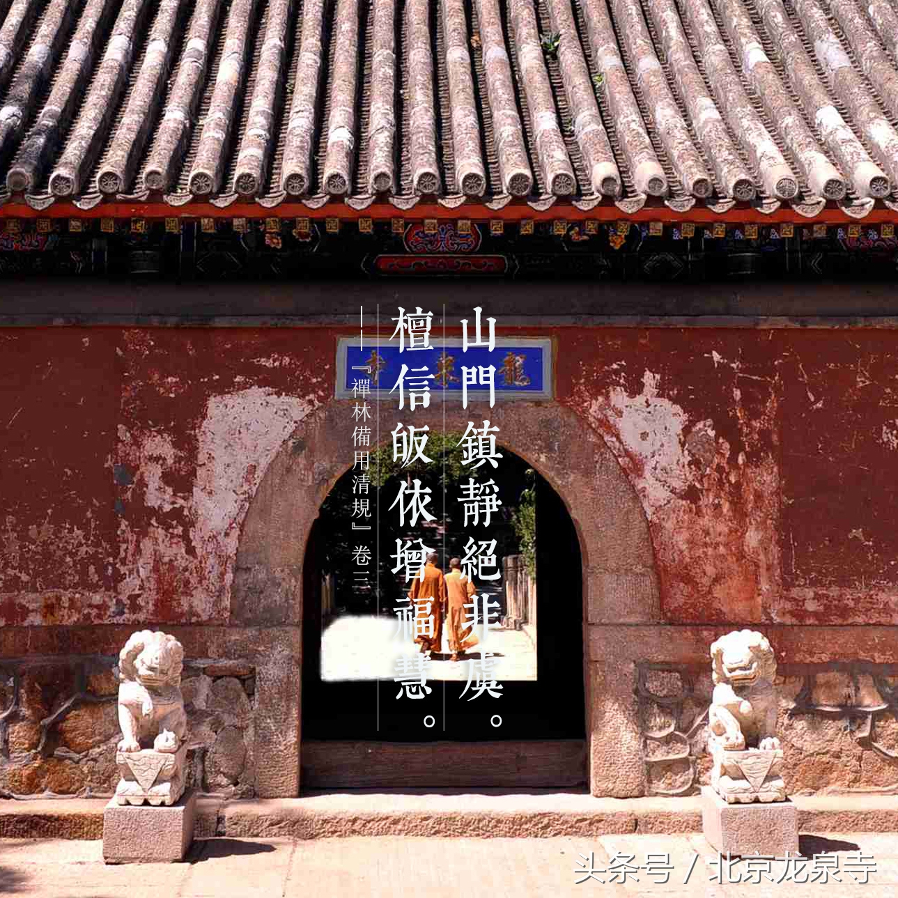 学佛人必须要在僧宝面前受皈依吗,学佛一定要念经吗