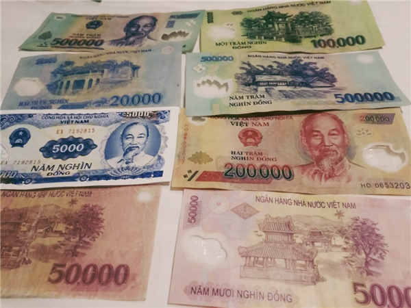 引领右脑总部2017越来越爱你越南芽庄游