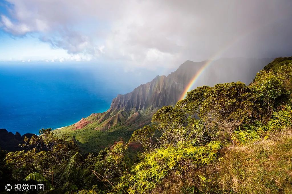 一封来自家乡的邀请函,夏威夷发来的邀请函