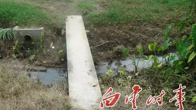 白云有几个村分别叫什么,广州白云有哪些村