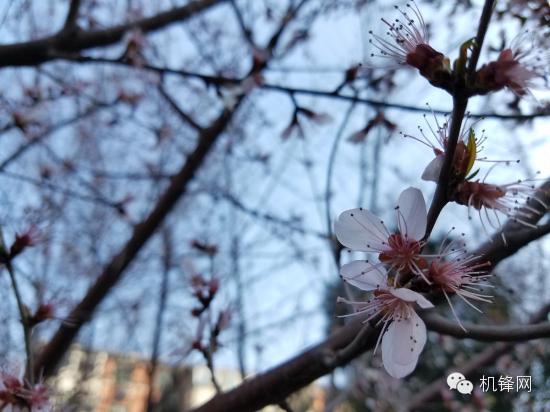 用着爽拍的赞三星GalaxyS7edge体验