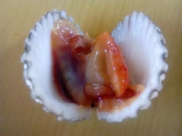 海南人都懂的美食,听说这些菜谱会越吃越瘦