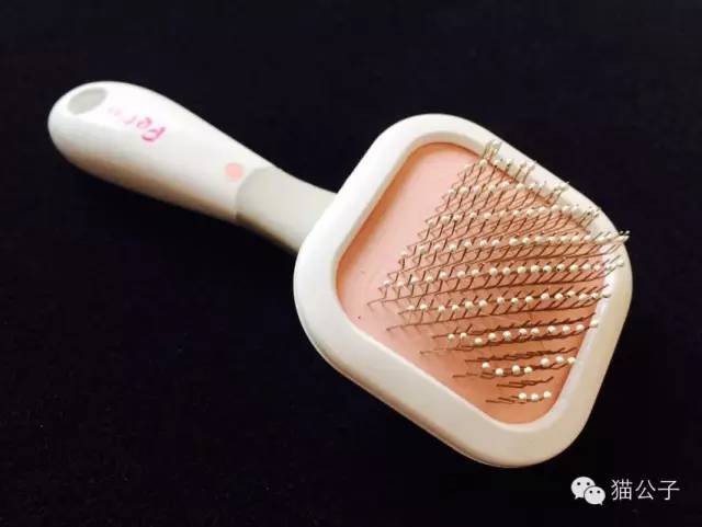 到处都是猫毛|到底什么猫毛梳最好用?