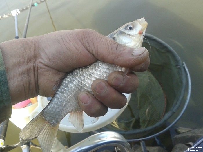 远征远征17,远征17-20