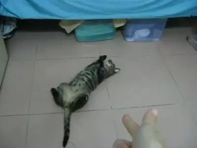 爱情的巨轮说沉就沉淀,爱情的巨轮说沉就沉下句怎么接