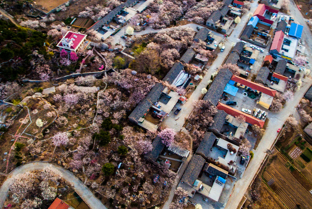 精灵phantom4prov2.0教学视频,精灵phantom4prov2.0缺点