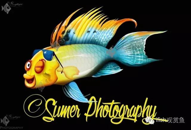 鱼超可爱卡通,鱼可爱卡通画