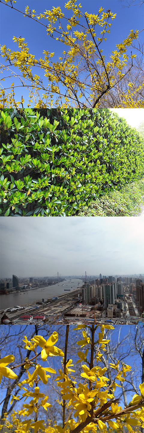 锤子t2手机怎么样,锤子t2用后感受