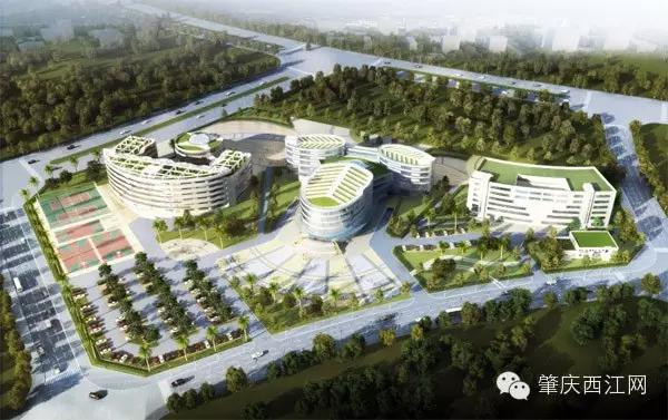 明天的肇庆，牛得让你高攀不起！