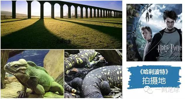 2016一刻青少年海外足球夏令营——与浪漫王国的完美融合