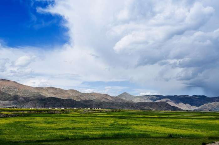 一封来自*藏西**的辞职信