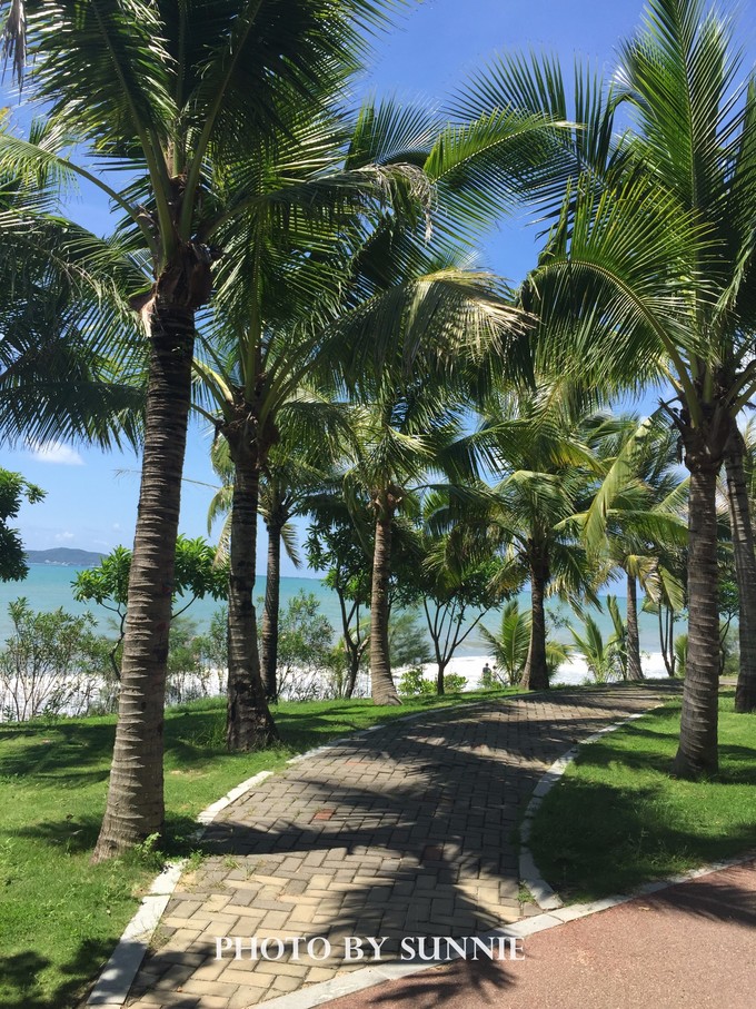 北纬十八度之三亚,北纬18度的旅行三亚游记