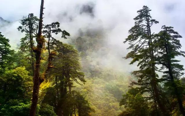 堵在路上别着急,堵在高速上不要慌