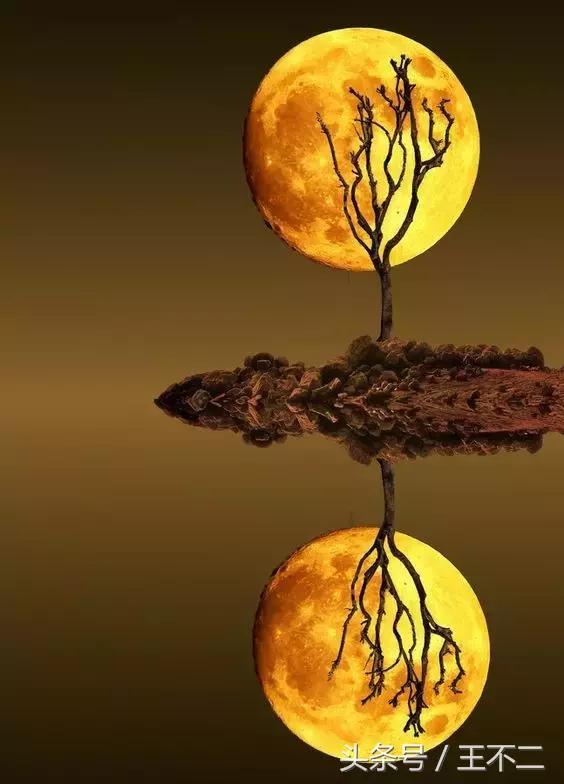 脑洞很大的想法有哪些,脑洞有多大1-10关