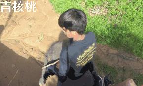 呼和浩特飞普吉岛,刷我滴卡泰国原版