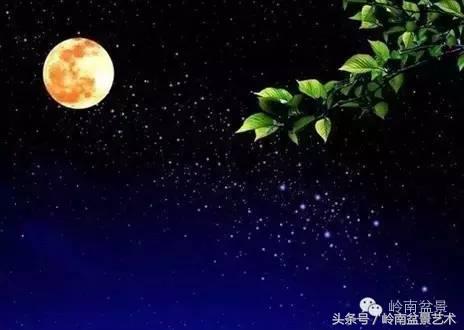 月圆夜，陪您过中秋