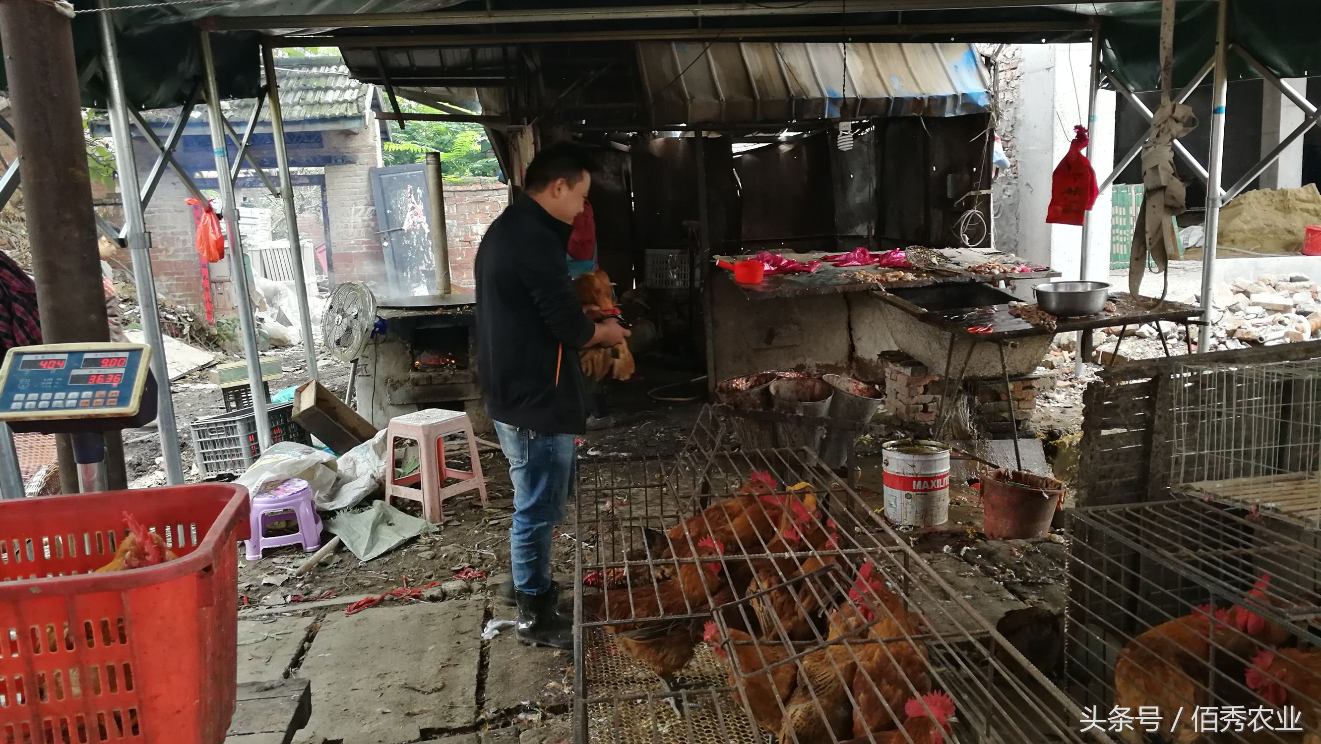 农村挣钱最快的小生意,农村最赚钱的小生意排行榜