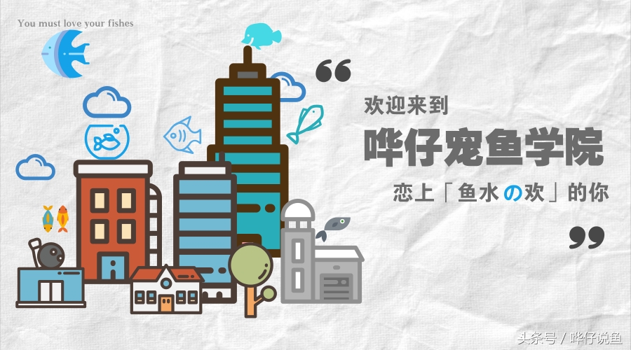 多少男人拜倒石榴裙下,多少男士拜倒在你的石榴裙