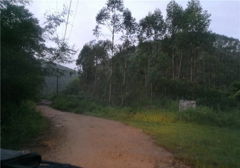 广西玉林钓土鲮鱼钓法,玉林钓土鲮的方法