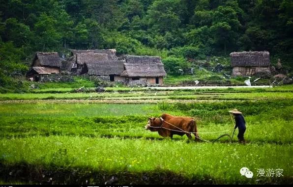 海子面朝大海春暖花开简笔画,海子面朝大海春暖花开画