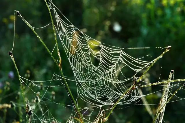 西安周末小众一日游,周末去哪玩西安市内